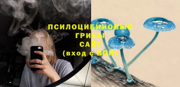спайс Богородицк