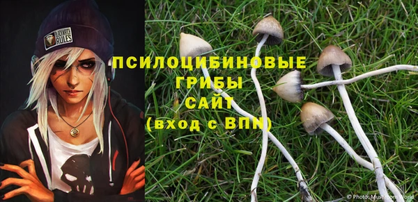 ALPHA PVP Богданович