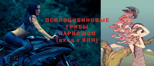 спайс Богородицк