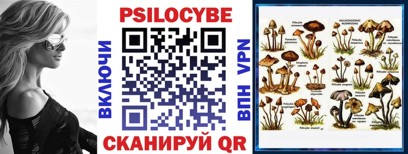 Купить  Нальчик  Псилоцибиновые грибы GOLDEN TEACHER 